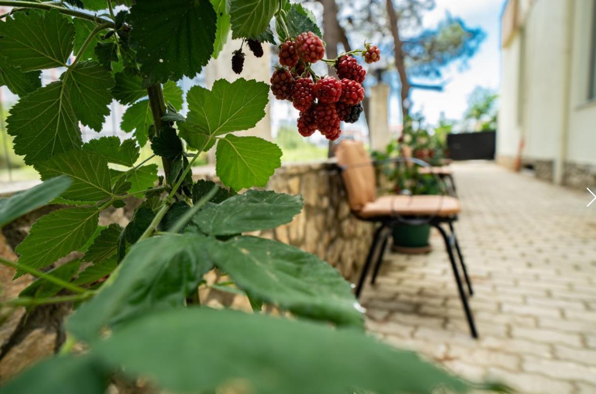 Hotel Villa Aljor 골렘 외부 사진